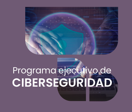 Programa ejecutivo de Ciberseguridad