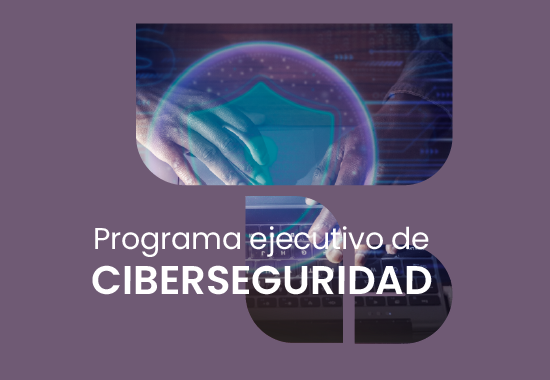 Programa ejecutivo de Ciberseguridad