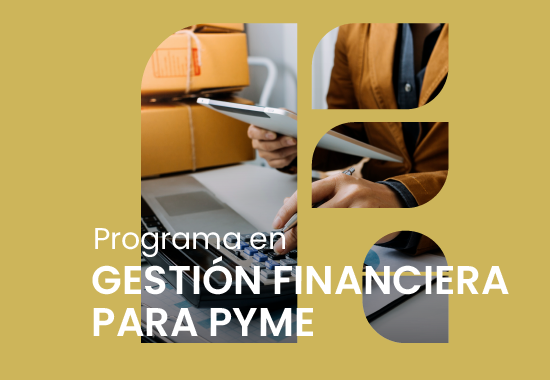 Programa en Gestión Financiera para PYME
